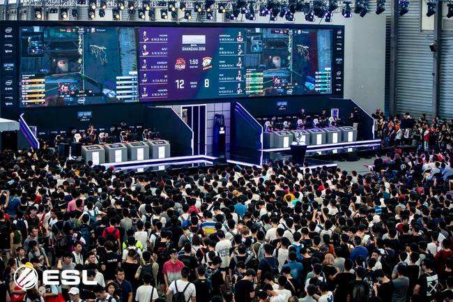 孤注一掷 孤注一掷